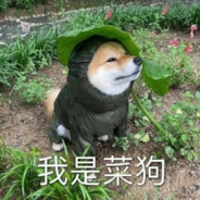 压的住AK，压不住她的心