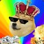 Doge Gangg