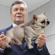 Влад-Мухобойка avatar
