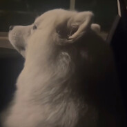 唯爱与健身不可辜负