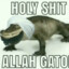 Allah Gator