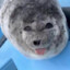 Sentient Seal