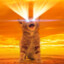 MeowMeowCatlol