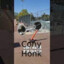 Cony Honk