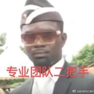 专业团队二把手