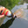 Fish 'O' Holic