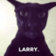 LARRY .