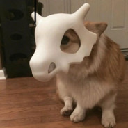 以敦煌为圆心的东北东