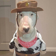Walter672 avatar