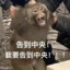 80岁端锅老奶