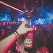 江东小霸王—大宝୧⍤