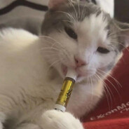 DeezNutz420