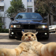 DOLBICH - steam id 76561198275130885