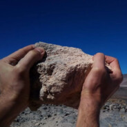 INCIPI