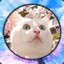 cats!