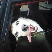 全世界最好的kk