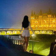 谁动了我的黏豆包