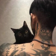 吃我小蜜蜂肘击