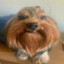 Bjonk's avatar