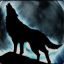 Dark Wolf Shadow King