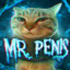 Mr. Penis