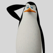 Kowalski - steam id 76561199854910701