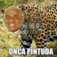 Onça Pintuda