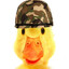 SgtDucko