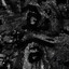 ☣BRO☣XXXSadcAtI0N