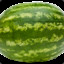 An Ugly Melon