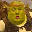 Donald Shrek