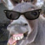 Donk_ey
