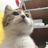 停云