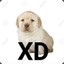 donMiguelin