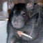 ratchuncks