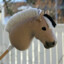 HOBBY HORSE