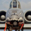 A10-WARTHOG BRRRTTT