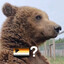 nonbinary bear trade