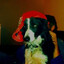 chimu