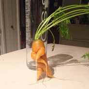 Carrots