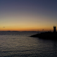 鸡蛋菜的后花园