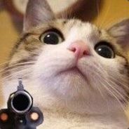 你们都是神仙吗？