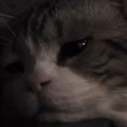 My head is buzzing. Maybe it's b