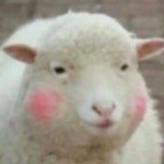 我菜我不难受吗？