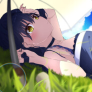 鸥