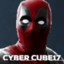 CYBER CUBE17