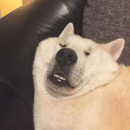 523