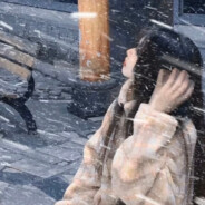 李小路的假乃亮了