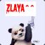 Zlaya ^^