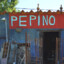 Pepino Cósmico